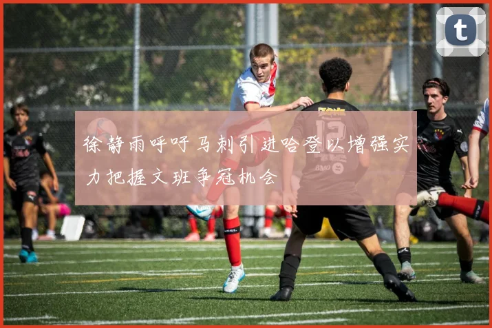 徐静雨呼吁马刺引进哈登以增强实力把握文班争冠机会