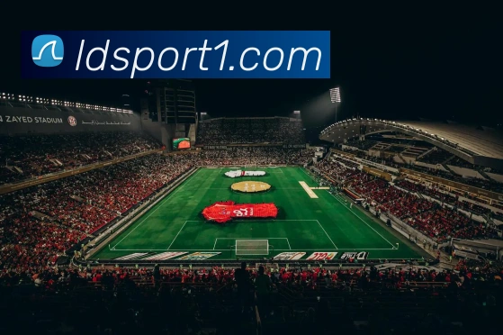 乐动足球品牌故事