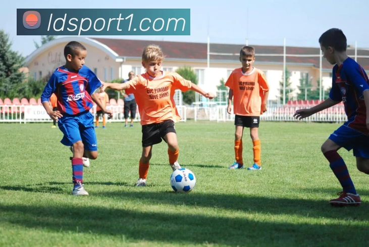 乐动足球服务体系